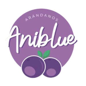 Theonet Logo Aniblue