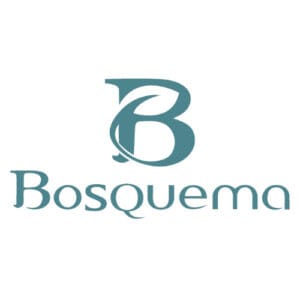 Theonet Logo Bosquema