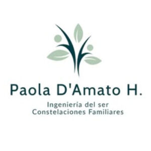 Theonet Logo Damato