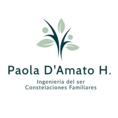 Theonet Logo Damato