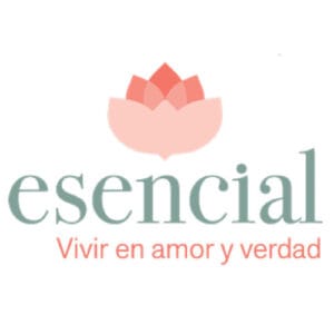 Theonet Logo Esencial