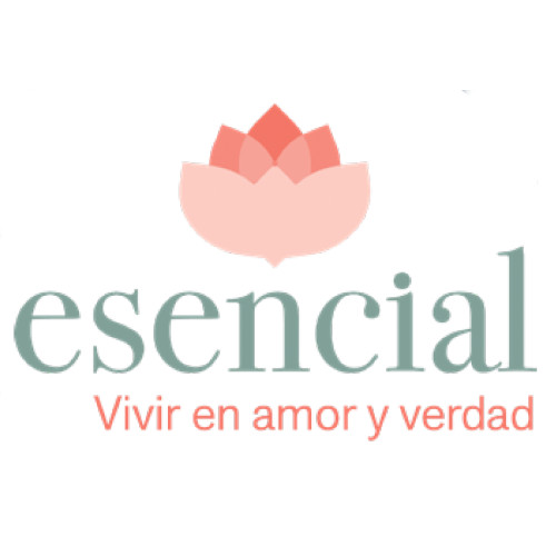 Theonet Logo Esencial