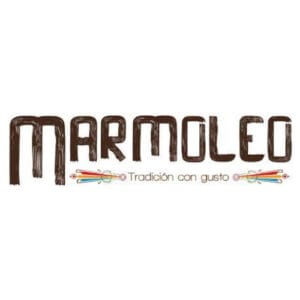 Theonet Logo Marmoleo