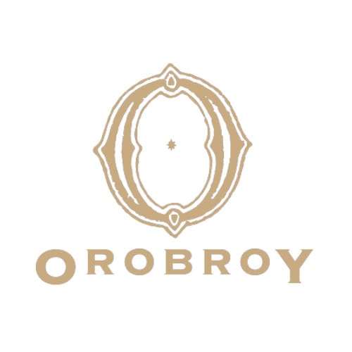 Theonet Logo Oroboy