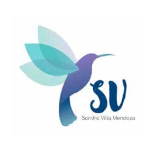 Theonet Logo SV Consultoria