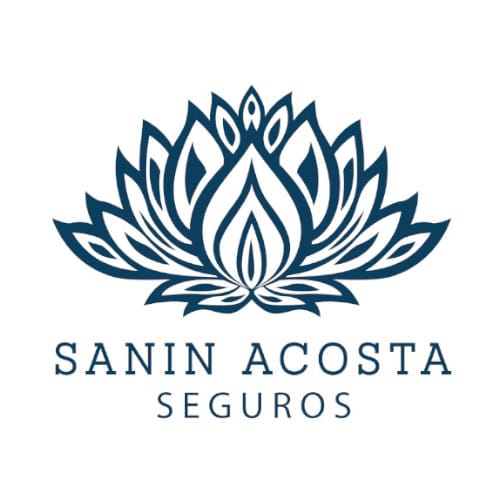 Theonet Logo Saninacostaseguros