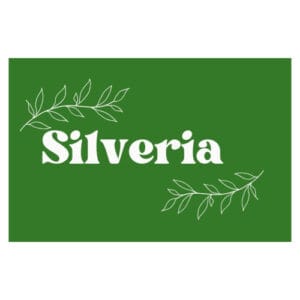 Theonet Logo Silveria