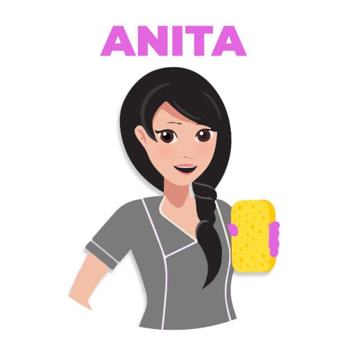Theonet Logo Anita