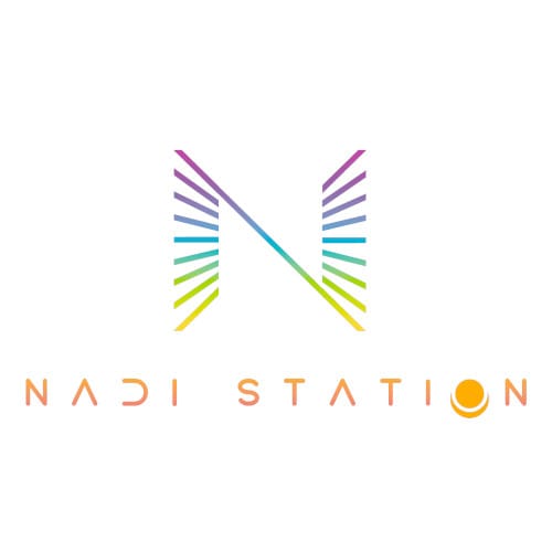 Theonet Logo Naldi Station