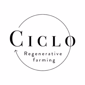 Theonet Logo Ciclo