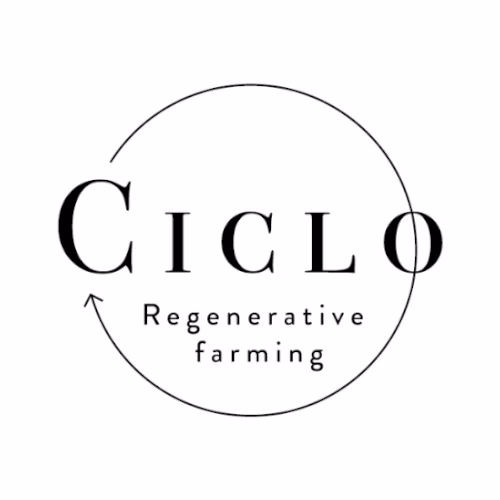 Theonet Logo Ciclo