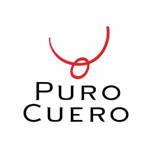 Theonet Logo Puro Cuero