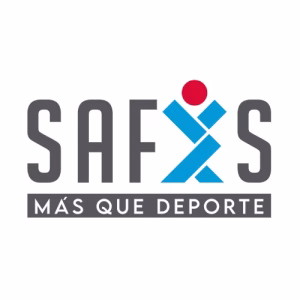 Theonet Logo SAFYS