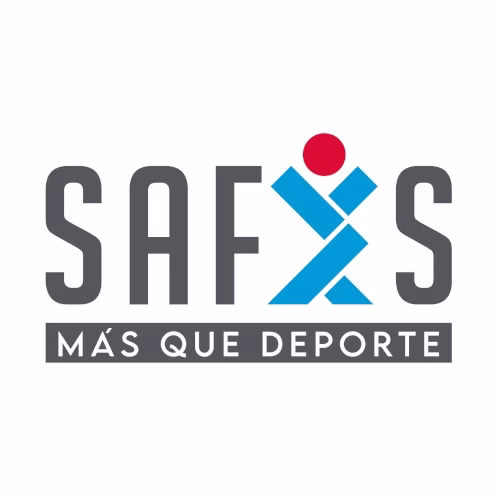 Theonet Logo SAFYS